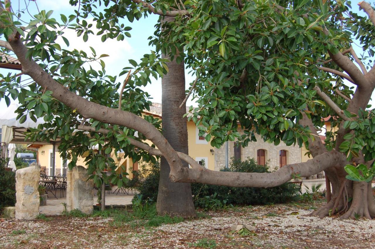 Il Giardino Del Sole Vila Agnone Bagni Exterior foto