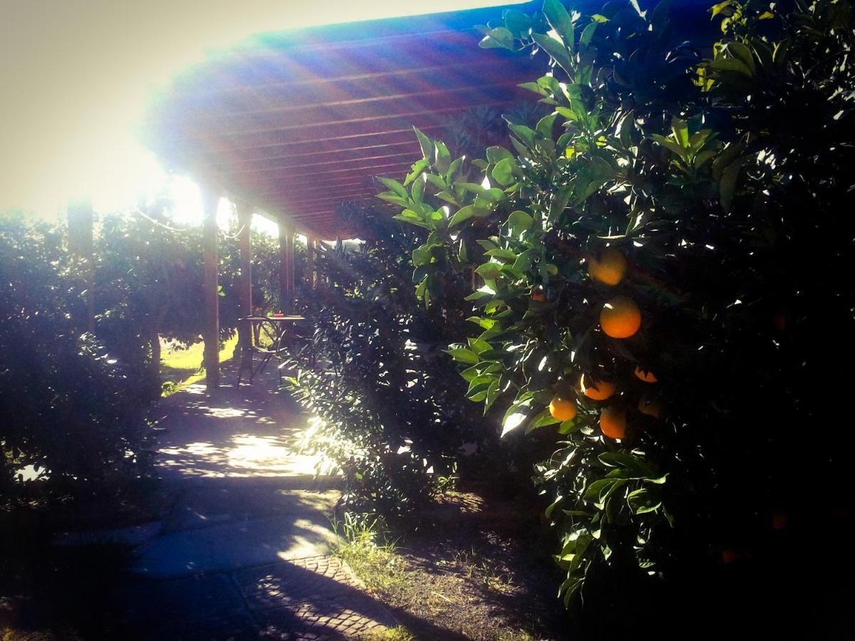 Il Giardino Del Sole Vila Agnone Bagni Exterior foto