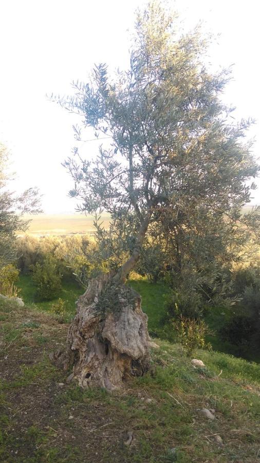 Il Giardino Del Sole Vila Agnone Bagni Exterior foto