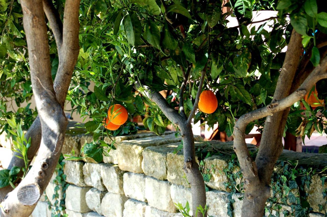 Il Giardino Del Sole Vila Agnone Bagni Exterior foto