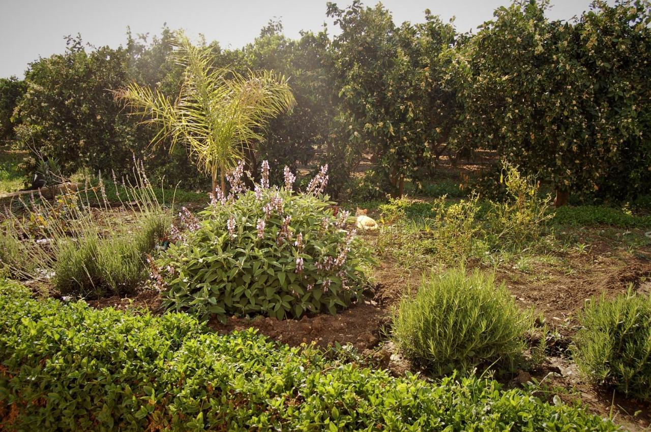 Il Giardino Del Sole Vila Agnone Bagni Exterior foto